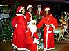 Die original VIVA BRASIL CHRISTMAS SHOW
