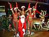 Die original VIVA BRASIL CHRISTMAS SHOW