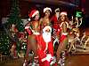Die original VIVA BRASIL CHRISTMAS SHOW