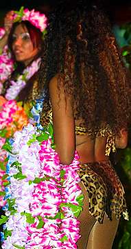 Der original VIVA BRASIL TROPICAL SHOWMIX